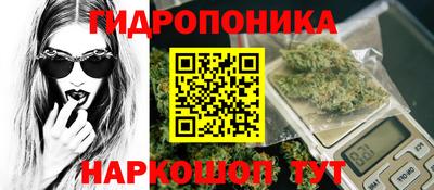 PSILOCYBIN Кингисепп